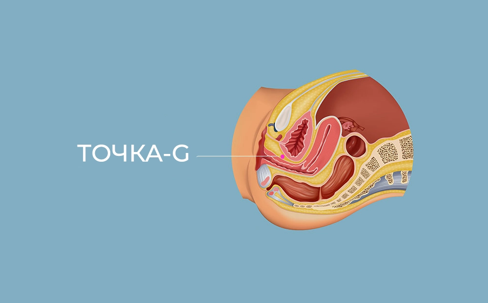 Как найти точку G